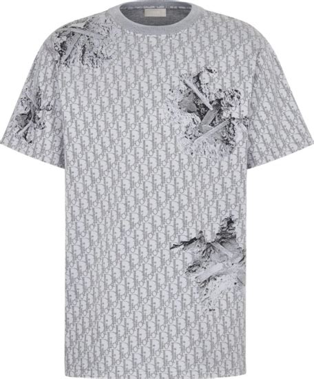 dior grey tshirt|dior t shirts for men.